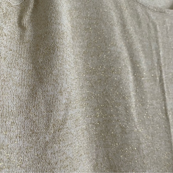Shimmery metallic knit scoop neck tank top tunic size large - Picture 9 of 11